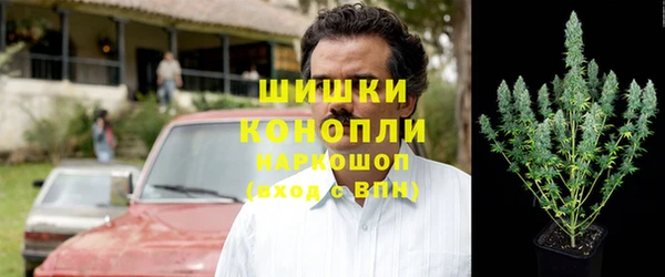ешки Арсеньев