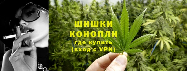 ешки Арсеньев