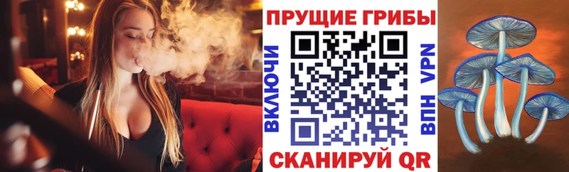 KRAKEN ССЫЛКА  Приозерск  Псилоцибиновые грибы мухоморы 